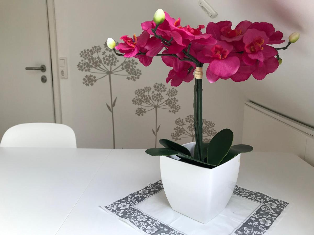 Naturapur 플라인펠트 외부 사진