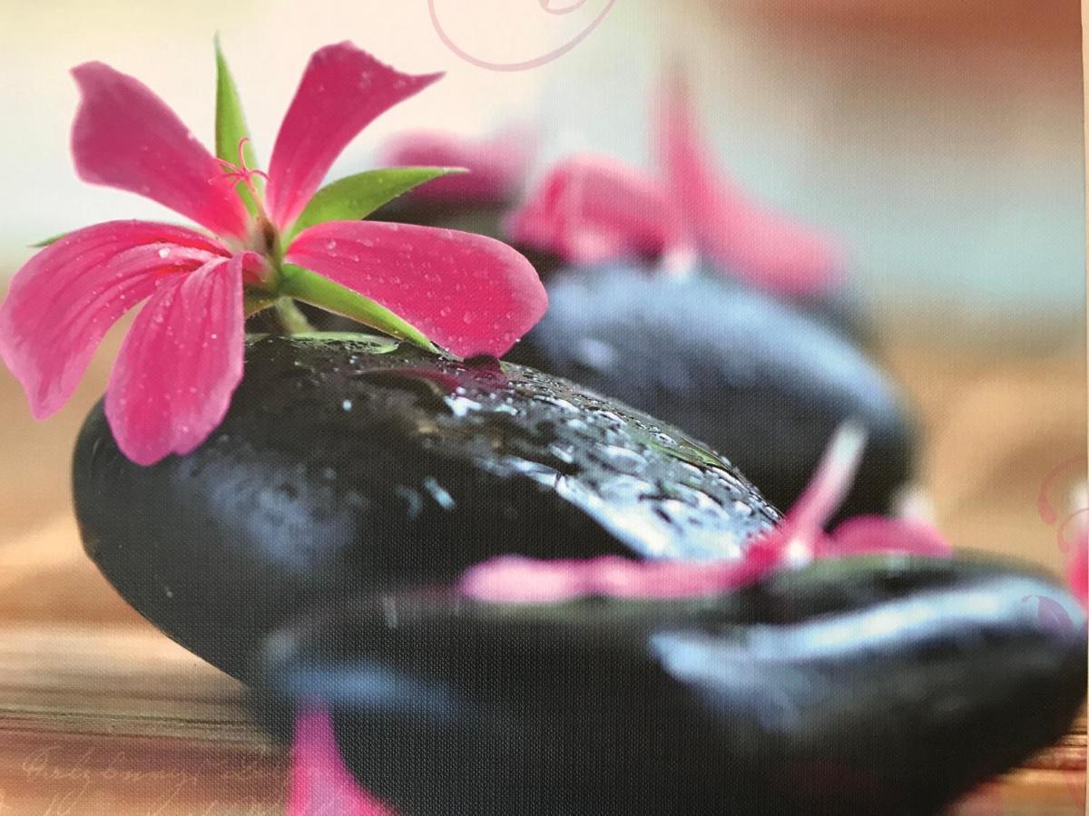 Naturapur 플라인펠트 외부 사진